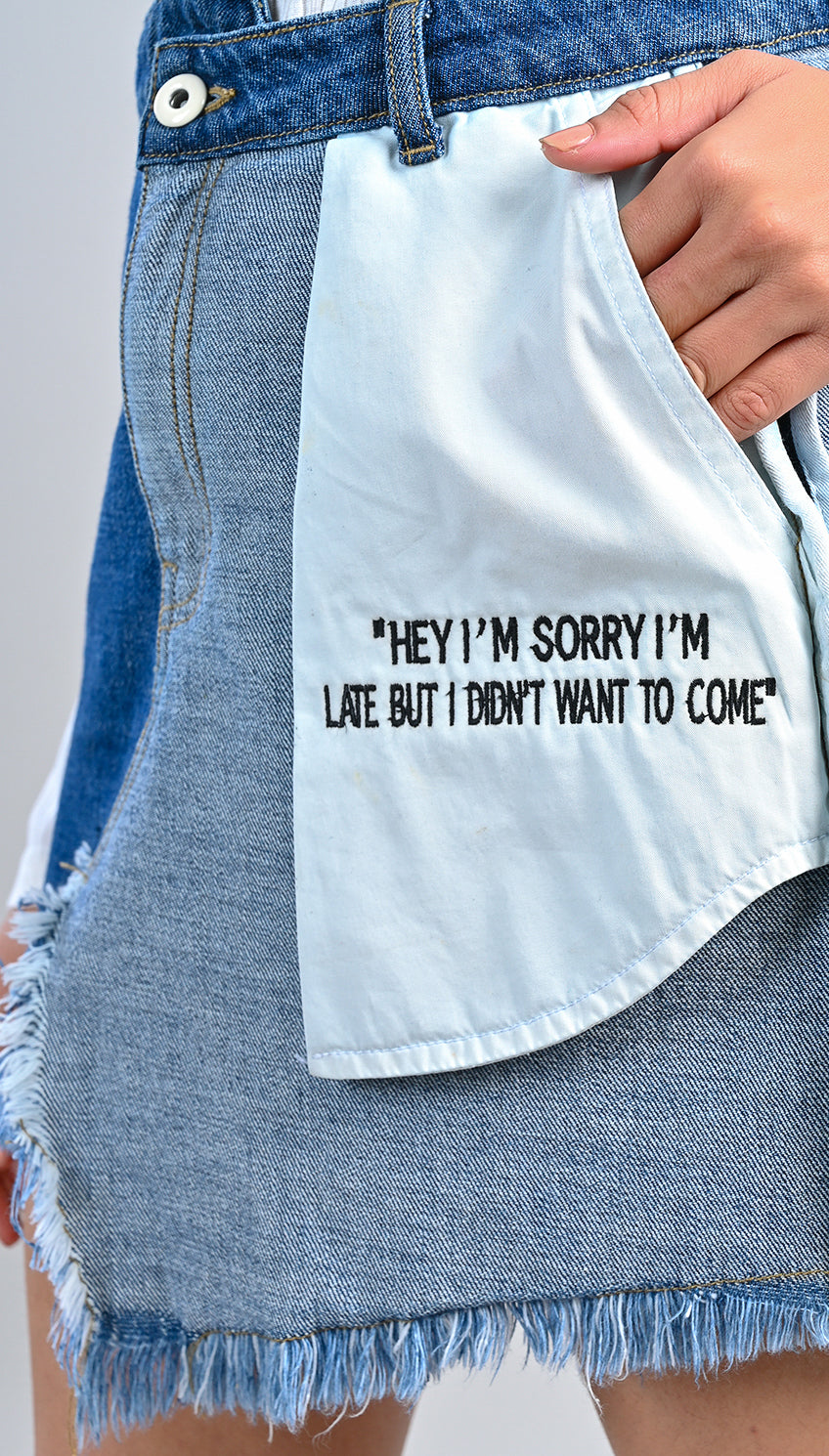 Asymmetric Embroidered Skirt